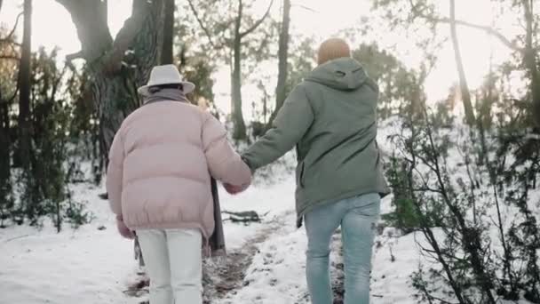 Романтична пара гуляє в лісі, тримаючи руки в сонячний зимовий день — стокове відео