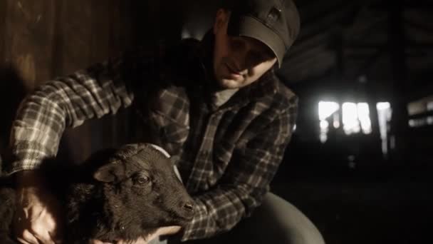 Cinematic Shot Farmer Petting Baby Goat Laying Hay Stall Sunlight — Stock Video