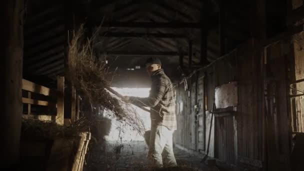 Cinematic Shot Male Farmer Working Barn Full Haystacks Sunlight Breaks — Stockvideo