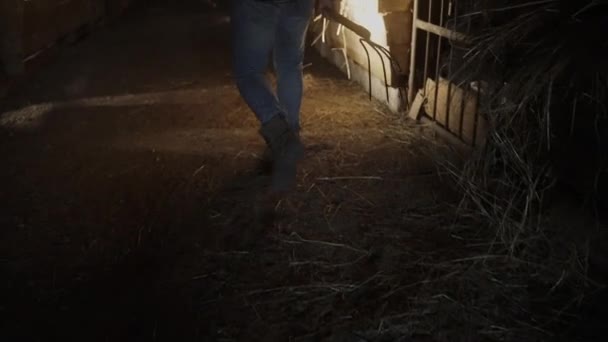 在电影中 男农场主拿着叉子穿过干草堆 叫来一只狗 阳光破晓进入旧农舍 一个活跃的农民步行的镜头 高质量的4K镜头 — 图库视频影像
