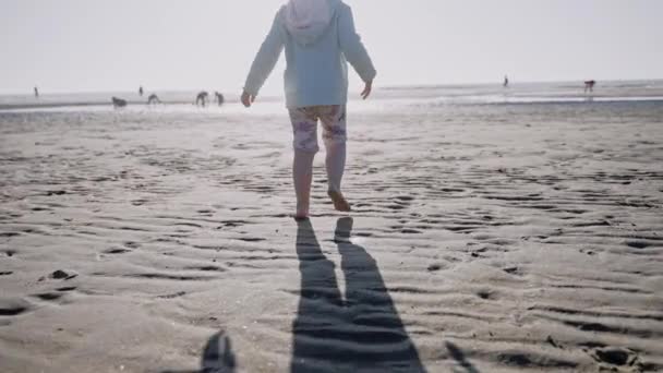 Kleines Mädchen Das Einem Sonnigen Tag Einem Strand Meer Spaziert — Stockvideo