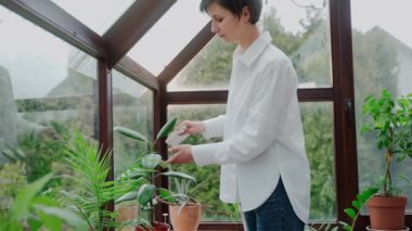 Bir kadın güneşli bir günde terasta yaprakları siler evdeki terasta bahçe görüntüsü. Beyaz gömlek ve yeşil bitkiler. Yüksek kaliteli 4k video kaydı