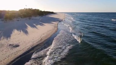 Drone flies over island with wild forest in ocean. Dynamic aerial shot of sand beach with blue waves.the shade of palm trees lies on a sandy beach. High quality 4k footage