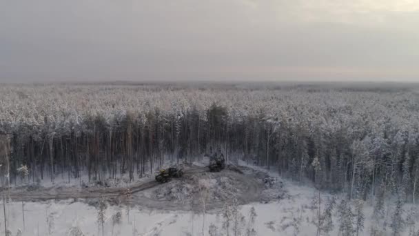 Vue Aérienne Moissonneuse Batteuse Transitaire Dans Forêt Hiver Jour Hiver — Video