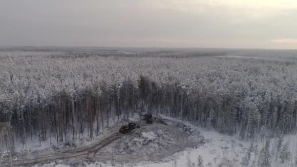 Luftaufnahme Von Forest Harvester Und Forwarder Fahren Den Winterwald Bewölkter — Stockvideo