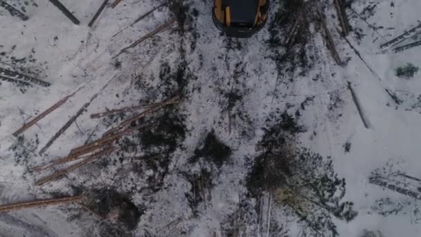 Вид Зверху Вниз Повітряний Вигляд Лісового Експедитора Зимовому Лісі Експедитор — стокове відео