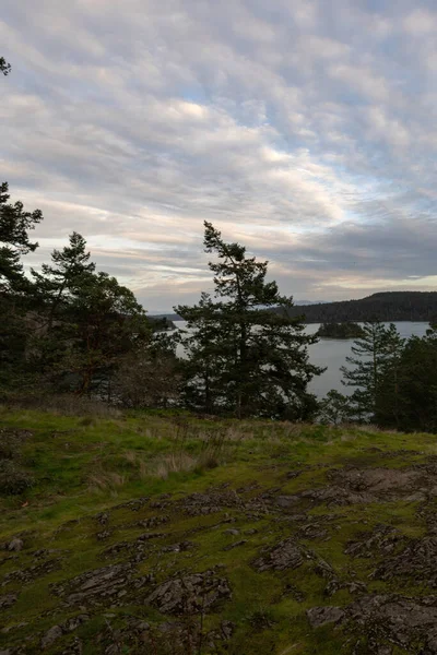 Wald um Bucht mit kleiner Insel und Wolken — Stockfoto