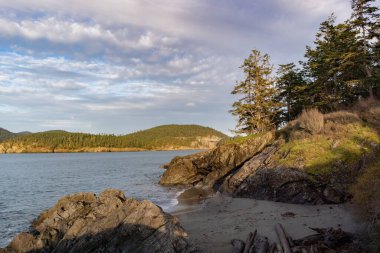 Ada manzaralı sahil şeridinde ağaç ve çimenler