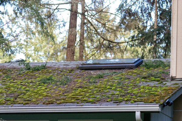 Moosiges Dach mit Dachfenster alt und reparaturbedürftig — Stockfoto
