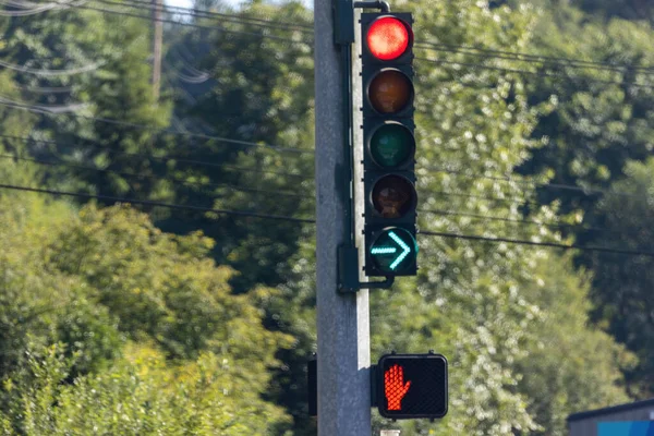 Grüner Pfeil und rotes Ampelschild an Ampelmast — Stockfoto