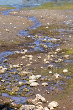 Tatlı su tuzlu suya akıyor.