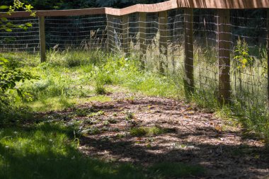 Yazın çit boyunca ahşap çit