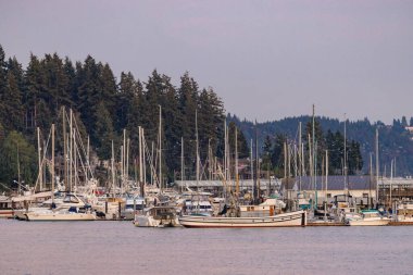 Açık mor gökyüzü bir limanın suyuna yansıyor.