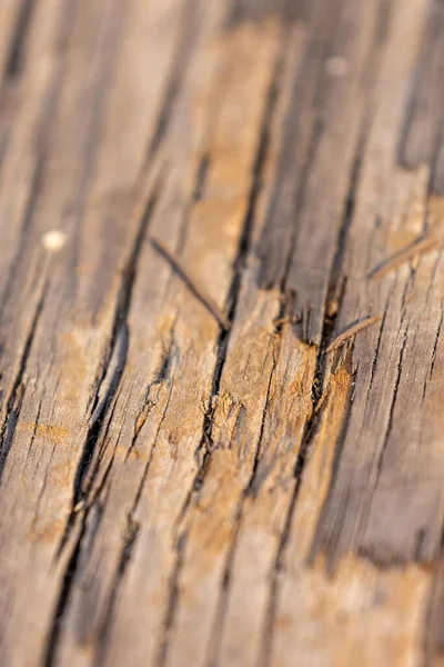 Η φθαρμένη επιφάνεια μιας ξύλινης σανίδας — Φωτογραφία Αρχείου
