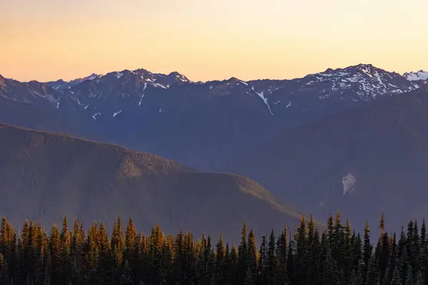 Veiw con vistas a una cordillera cubierta de un bosque de pinos — Foto de Stock