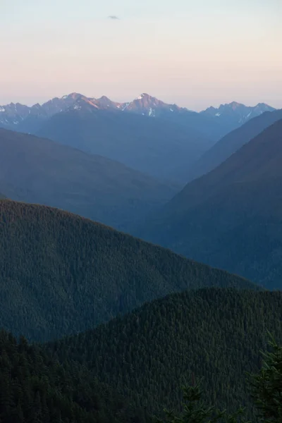 Capas de bosques ondulados picos de montaña por la noche — Foto de Stock