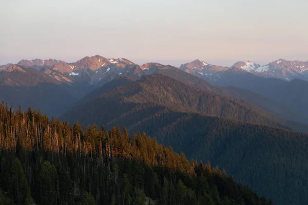 Széles gördülő hegygerincek erdő és hó — Stock Fotó