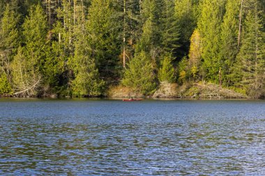 Eski orman adasının etrafında küçük kırmızı bir kano