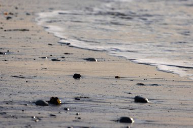 Dalgalar ve kumla kaplı karanlık siluetli kayalar.