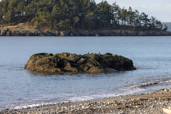 Lointaine île boisée au large du Pacifique Nord-Ouest — Photo