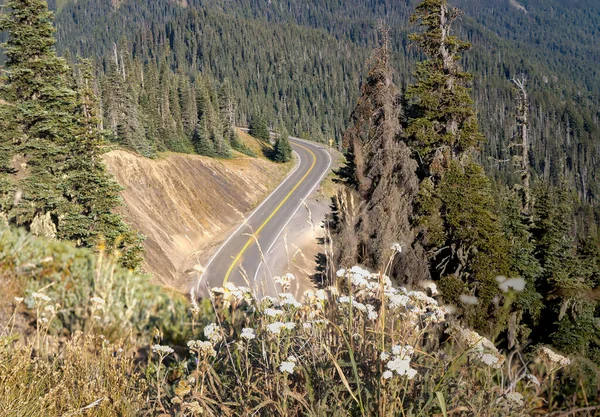 Ασφαλτοστρωμένος δρόμος στην πλαγιά του βουνού κάτω από τον λαμπερό καλοκαιρινό ήλιο — Φωτογραφία Αρχείου