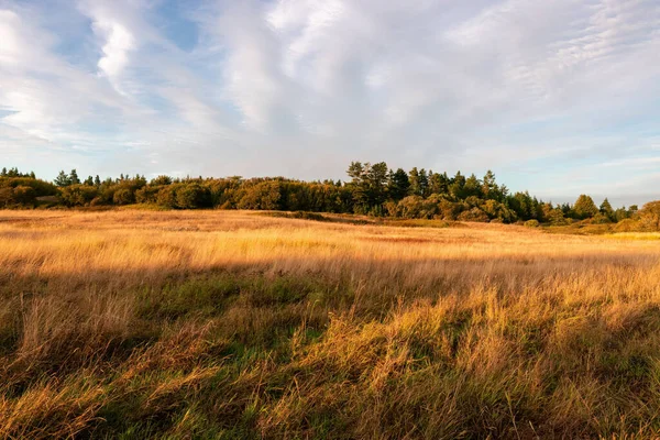 Weiter dramatischer bewölkter Himmel über goldenen Feldern — Stockfoto