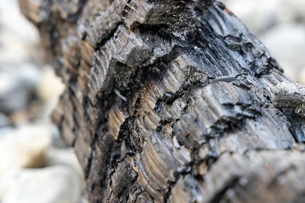 Hrubé šupinaté dřevěné uhlí, které zbylo z táboráku — Stock fotografie