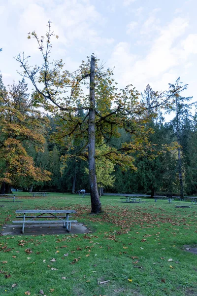 Banco de piquenique no campo gramado cercado por árvores de outono — Fotografia de Stock