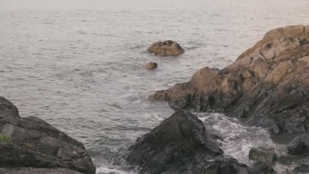 大きな波がワシントンの岩だらけの崖の顔に衝突した — ストック動画