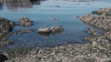 Su, dalgaların çekildiği yerde yavaş çekimde birikir.