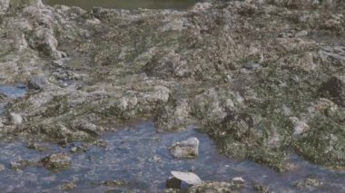 Su gelgit havuzlarının üzerinde yavaş tava