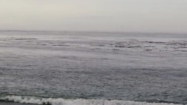 Paisaje de playa de una playa del noroeste en el estado de Washington — Vídeos de Stock