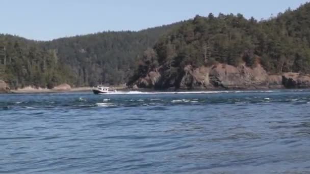 Helder wit speedboot rond te rijden in de oceaan — Stockvideo