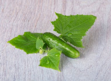 Taze, taze salatalık turşusu, taze yapraklar ve hafif ahşap arka planda çiğ damlaları olan çiçekler. Makro fotoğrafçılık