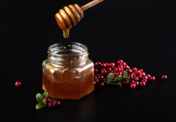 Honey Jar Lingonberries Isolated Black Background — стоковое фото