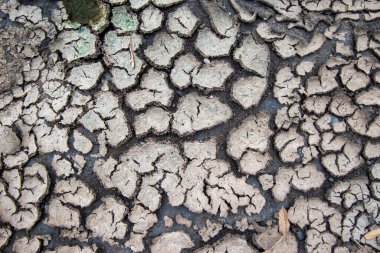 Kuraklık zemini çatladı, toprak arka plan