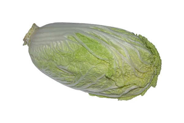 Chinese Cabbage Fresh Isolated White Background — Stock Photo, Image