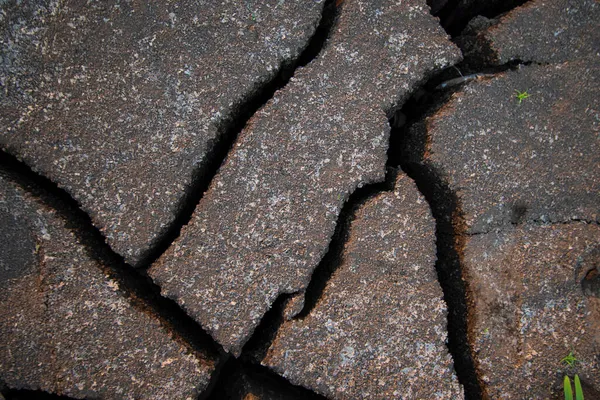 Cracks Ground Dry Land — Stock Photo, Image