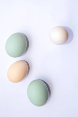 Beyaz bir arka plan üzerinde izole tavuk yumurtası