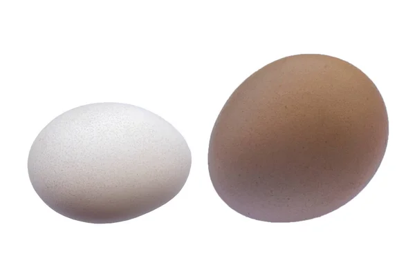 Куриные Яйца Изолированы Белом Фоне — стоковое фото