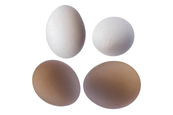 Αυγά Κότας Απομονωθεί Λευκό Φόντο — Φωτογραφία Αρχείου