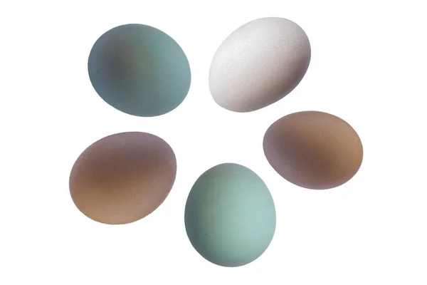 Курячі Яйця Ізольовані Білому Тлі — стокове фото