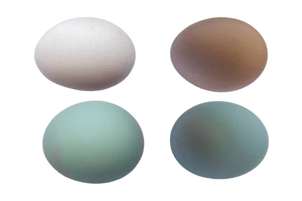 白い背景に分離された鶏の卵 — ストック写真