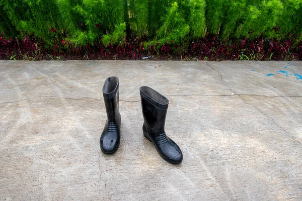 Cizme Pantofi Impermeabili Pentru Adulți — Fotografie, imagine de stoc