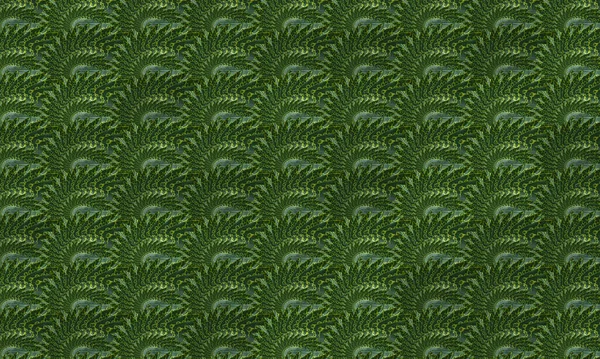 Abstract Green Leaf Texture Seamless Pattern Nature Background Tropical Leaves — Stock Photo, Image