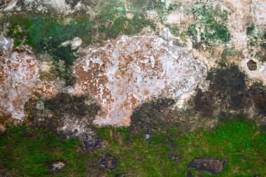 Eski taş duvarda yosun, yosun dokusu arka planda