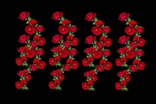 Κόκκινα Τριαντάφυλλα Απομονωμένα Μαύρο Φόντο Όμορφα Τριαντάφυλλα — Φωτογραφία Αρχείου