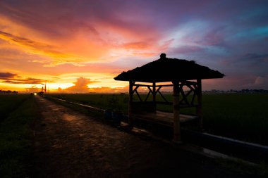 Güneş pirinç tarlalarının üzerinde altın rengi ve dramatik bulutlu gökyüzü ile batıyor..