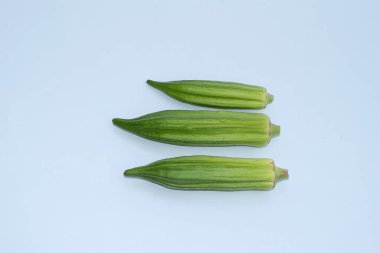 fresh okra ( Lady Finger ) isolated on white background