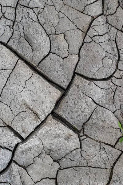Der Boden Hat Risse Foto Von Oben Für Einen Hintergrund — Stockfoto